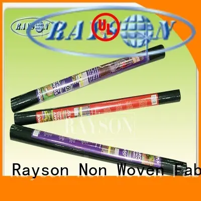 Rayson Non Woven Fabric online pp non woven fabric manufacturer for root control bags 1