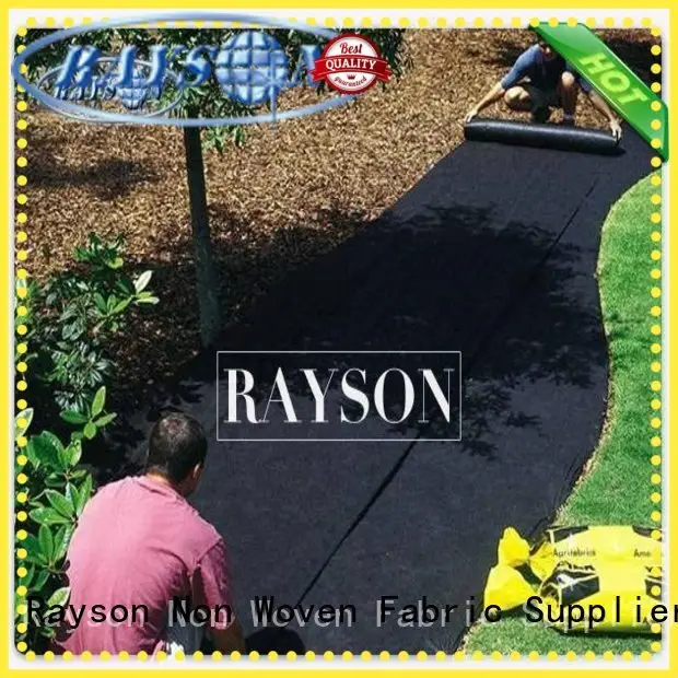 Rayson Non Woven Fabric online pp non woven oxygen for root control bags 1