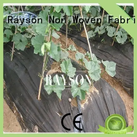 Rayson Non Woven Fabric high quality garden liner to prevent weeds width for root control bags 1