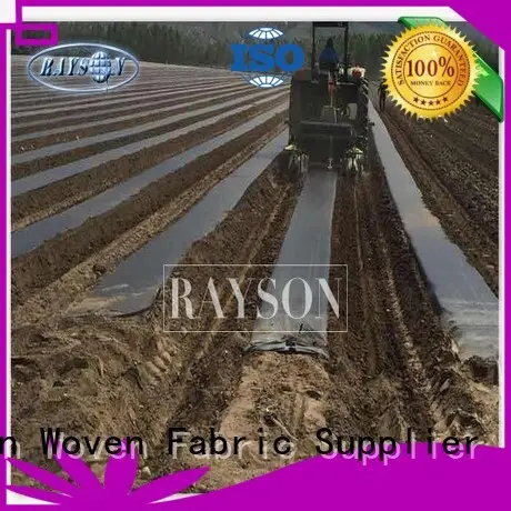 weed control material protection for root control bags Rayson Non Woven Fabric 1