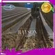 weed control material protection for root control bags Rayson Non Woven Fabric 1