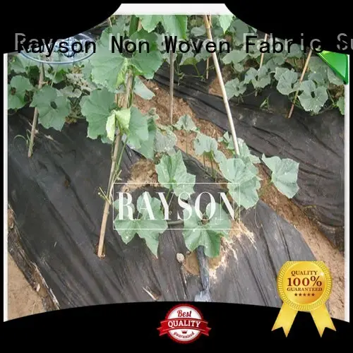 Rayson Non Woven Fabric diseases non woven polypropylene landscape fabric wholesale for seed blankets 1