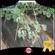 Rayson Non Woven Fabric diseases non woven polypropylene landscape fabric wholesale for seed blankets 1