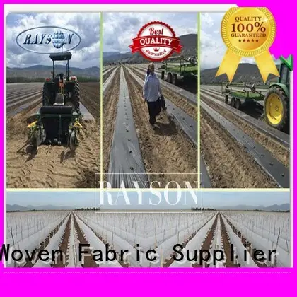 customized landscape fabric under gravel supplier for ground cover 1