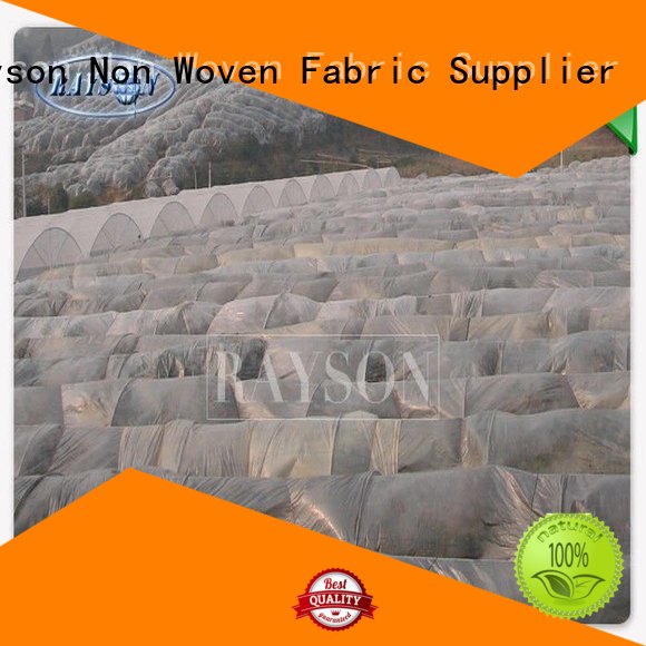 Rayson Non Woven Fabric anti uv landscape fabric for sale supplier for root control bags 1