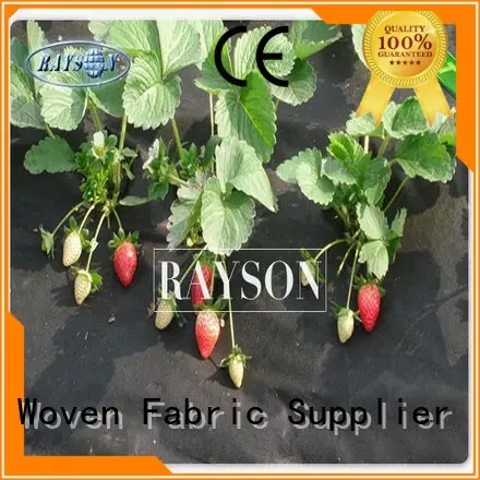 anti uv garden fabric to prevent weeds supplier for ground cover 1