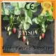 anti uv garden fabric to prevent weeds supplier for ground cover 1