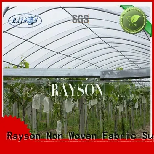 material dupont landscape fabric supplier for seed blankets Rayson Non Woven Fabric 1