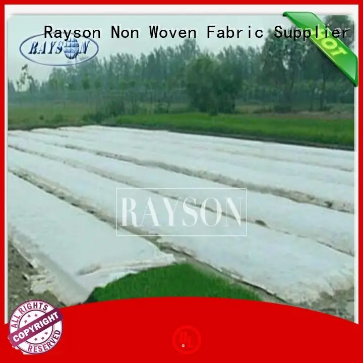 40gsm best landscape fabric to use sgs for root control bags Rayson Non Woven Fabric 1
