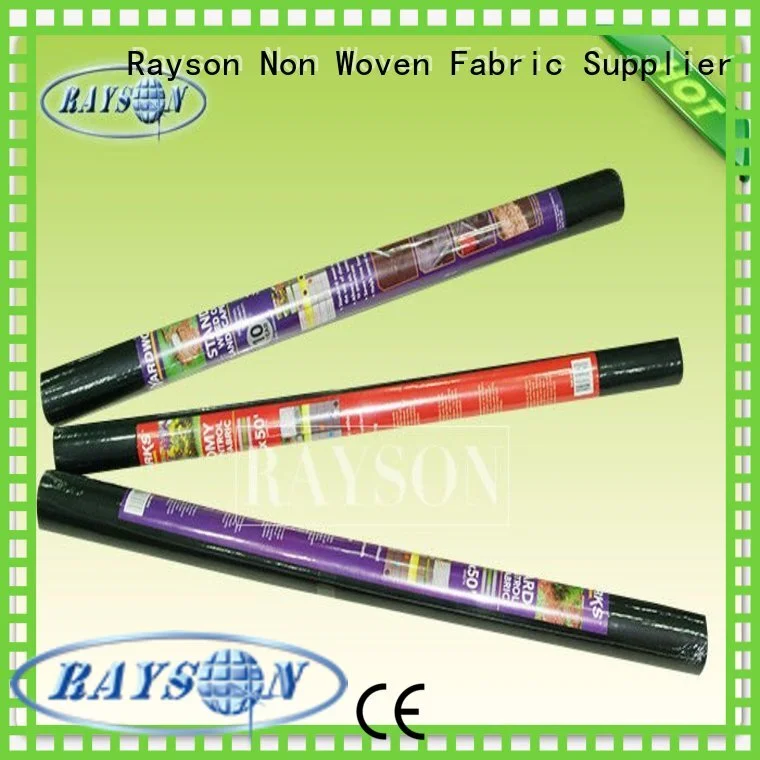 woven non woven geotextile fabric wholesale for root control bags Rayson Non Woven Fabric 1