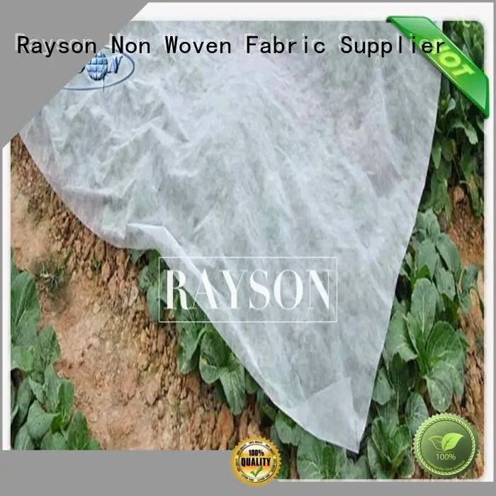 Rayson Non Woven Fabric high quality where to buy geotextile fabric series for ground cover 1