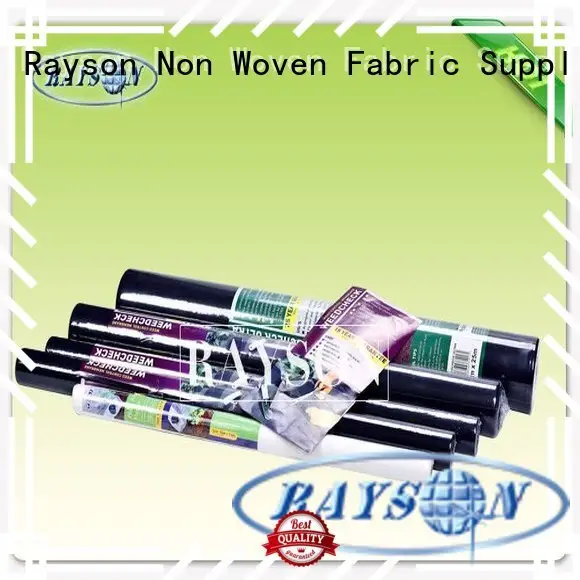 Rayson Non Woven Fabric black biodegradable landscape fabric manufacturer for ground cover 1