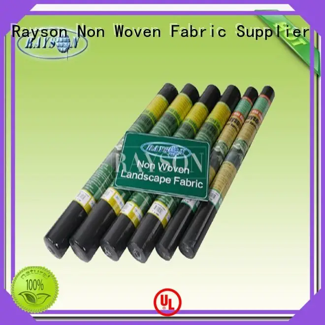Rayson Non Woven Fabric low landscape matting wholesale for ground cover 1