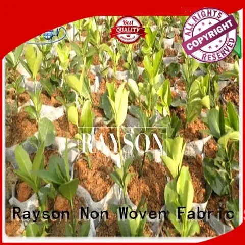 weed control liner test for root control bags Rayson Non Woven Fabric 1