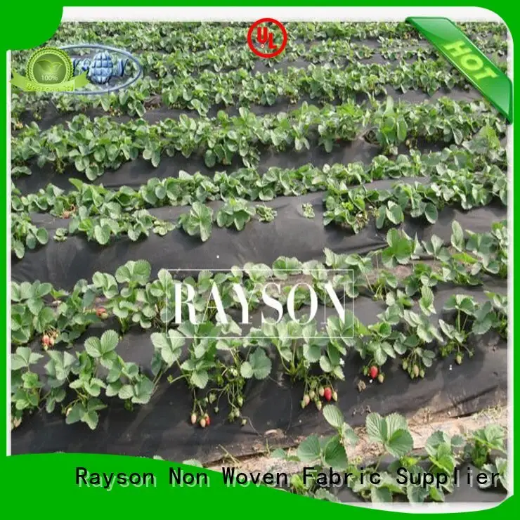 Rayson Non Woven Fabric stabilization weed control mat series for ground cover 1