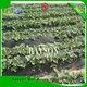 Rayson Non Woven Fabric stabilization weed control mat series for ground cover 1