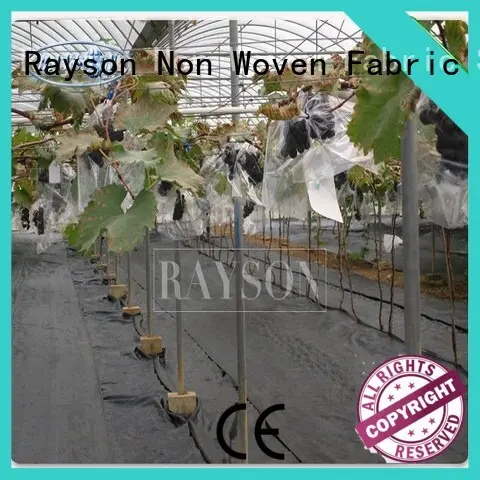 virgin bulk landscape fabric series for root control bags 1