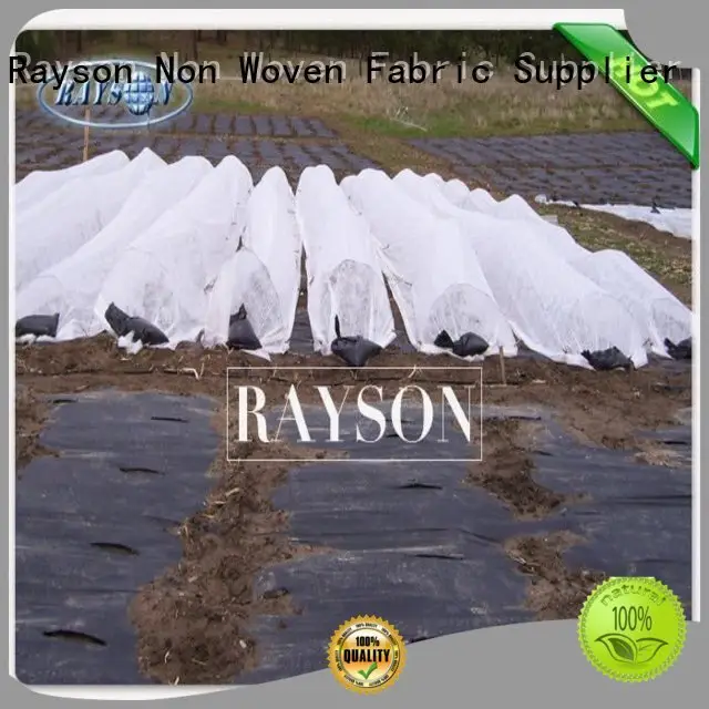 Rayson Non Woven Fabric high density fabric for weeds manufacturer for root control bags 1