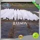 Rayson Non Woven Fabric high density fabric for weeds manufacturer for root control bags 1