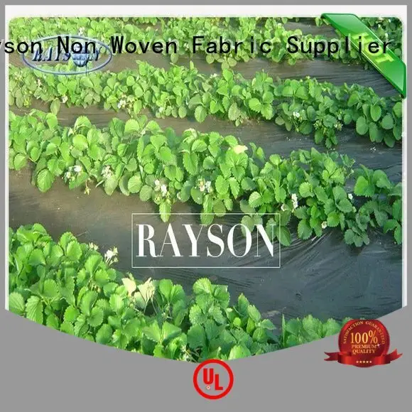 mesh landscape tarps years for ground cover Rayson Non Woven Fabric 1