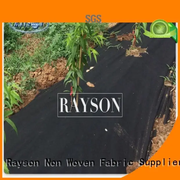 Rayson Non Woven Fabric crop garden fabric liner supplier for ground cover 1
