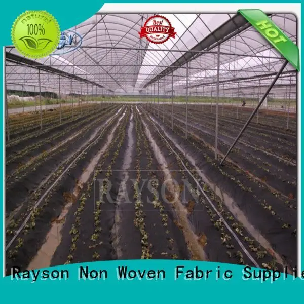 Rayson Non Woven Fabric high quality weed control fabric pegs durable for seed blankets 1