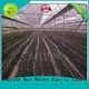 Rayson Non Woven Fabric high quality weed control fabric pegs durable for seed blankets 1