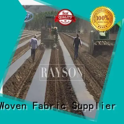 single weed killer fabric protection for seed blankets Rayson Non Woven Fabric 1