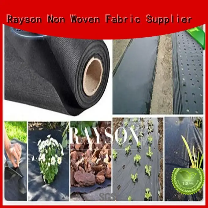 join white weed control fabric wholesale for seed blankets Rayson Non Woven Fabric 1