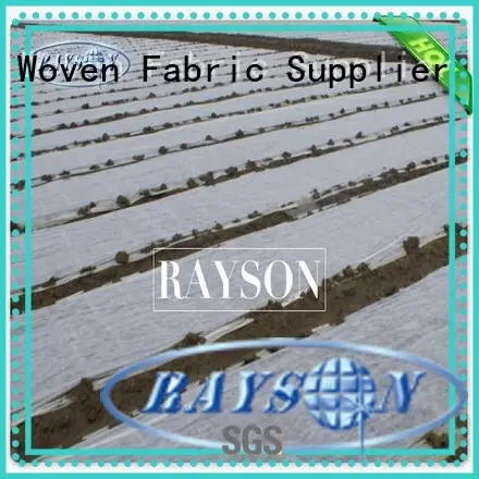 mypex weed control fabric wind for root control bags Rayson Non Woven Fabric 1