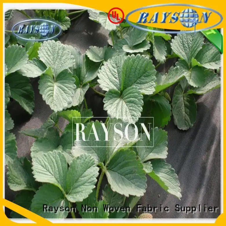 Rayson Non Woven Fabric moist grey landscape fabric manufacturer for seed blankets 1