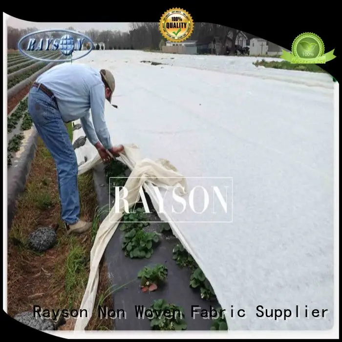 Rayson Non Woven Fabric high density flower garden weed control wholesale for ground cover 1