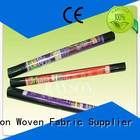 barrier cloth for gardens ppsb for root control bags Rayson Non Woven Fabric 1