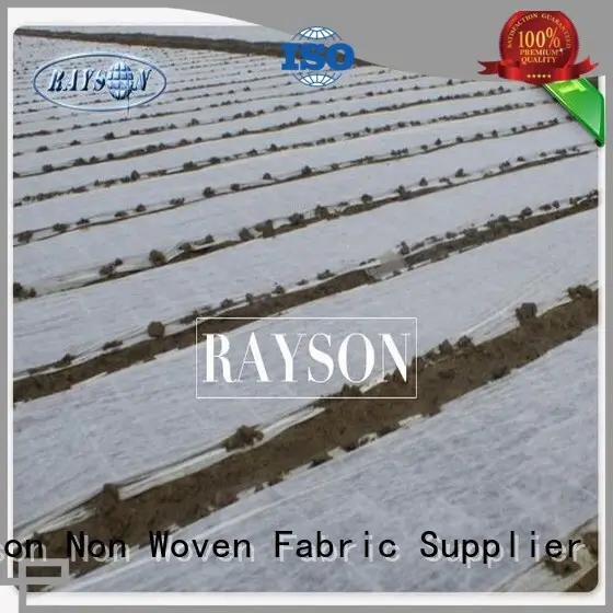 large plant membrane wholesale for root control bags Rayson Non Woven Fabric 1