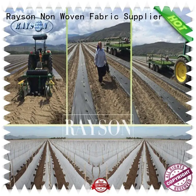 roll landscape fabric drainage series for seed blankets 1