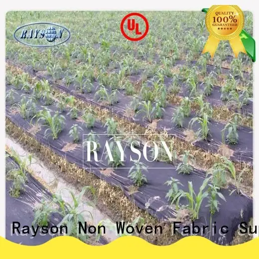 preen landscape fabric moist for root control bags Rayson Non Woven Fabric 1