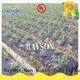 preen landscape fabric moist for root control bags Rayson Non Woven Fabric 1