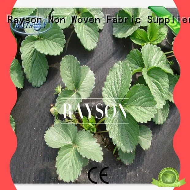 protection landscape cloth lowes manufacturer for root control bags Rayson Non Woven Fabric 1