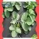 protection landscape cloth lowes manufacturer for root control bags Rayson Non Woven Fabric 1