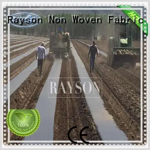 Rayson Non Woven Fabric high density landscape fabric for sale benefit for seed blankets 1