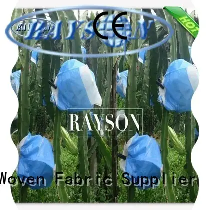 non protection fruit mango for banana Rayson Non Woven Fabric 1
