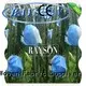 non protection fruit mango for banana Rayson Non Woven Fabric 1