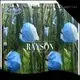 fruit exclusion bags tree for pear and vegetable Rayson Non Woven Fabric 1