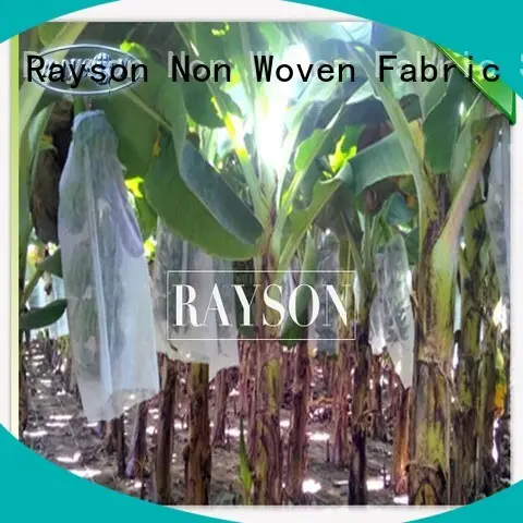 heat fruit bags for sale wholesale for banana Rayson Non Woven Fabric 1