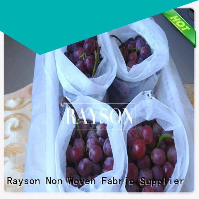 Rayson Non Woven Fabric online fruit cover mesh supplier for home furnishings 1