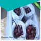 Rayson Non Woven Fabric online fruit cover mesh supplier for home furnishings 1