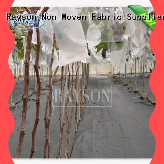 Rayson Non Woven Fabric growing fruit fly screen cover supplier for pear and vegetable 1