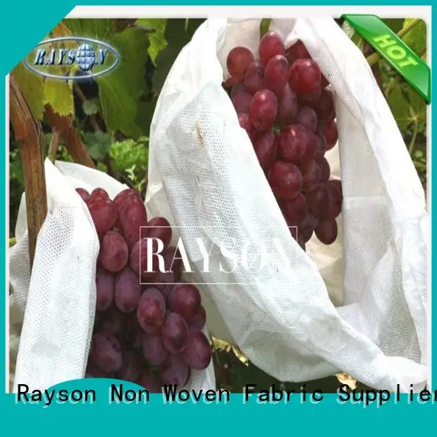 Rayson Non Woven Fabric recyclable fruit fly protection manufacturer for pear and vegetable 1