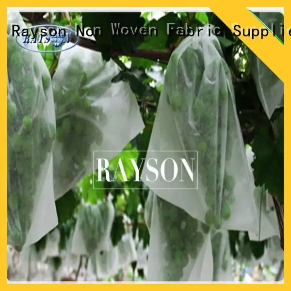 Rayson Non Woven Fabric heat sealing fruit protection bags anti for home furnishings 1