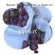 Rayson Non Woven Fabric material fruit fly bags series for home furnishings 1
